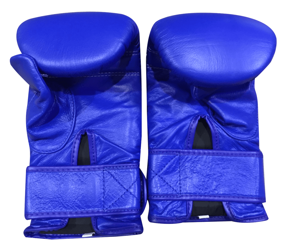 Twins Special Boxing Bag Gloves TBGL3F Blue - SUPER EXPORT SHOP