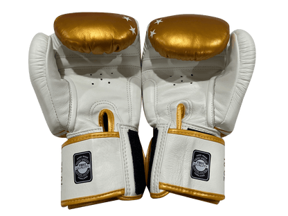 Twins Special BOXING GLOVES FBGVL3-TW4 White Gold - SUPER EXPORT SHOP